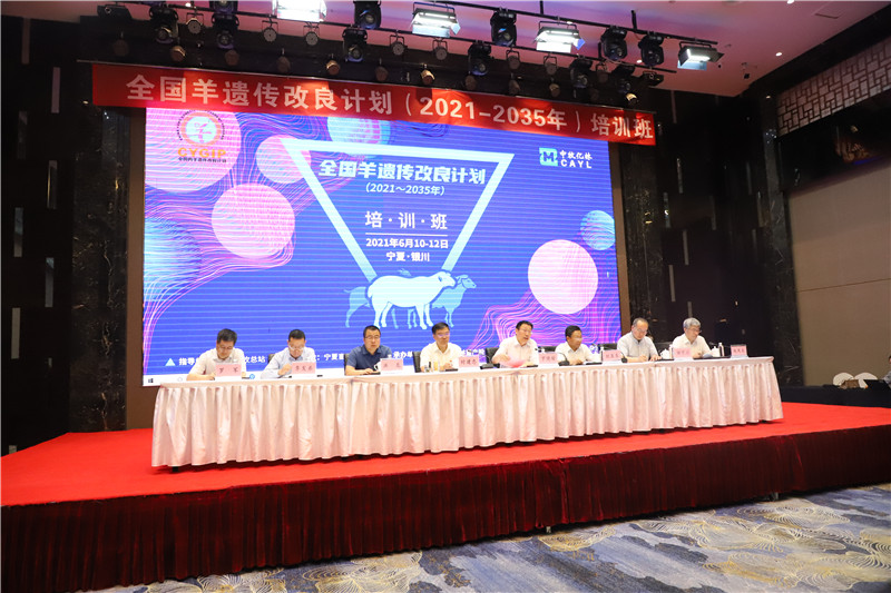 亿林新闻稿照片1_副本1.jpg