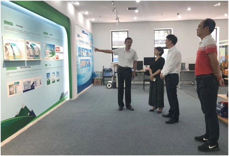 图2_副本1.jpg