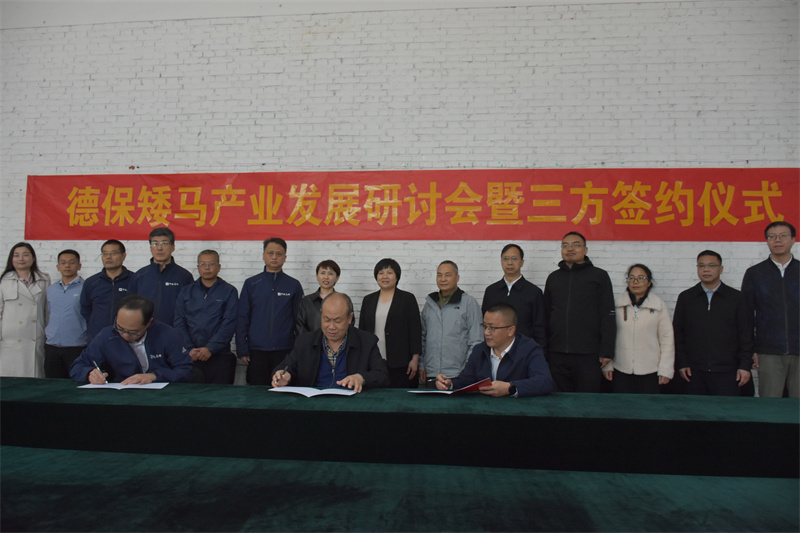 优势互补 相互合作 共同发展——东方马都与德保县、中国畜牧兽医学会马学分会举办德保矮马产业发展研讨会暨三方签约仪式