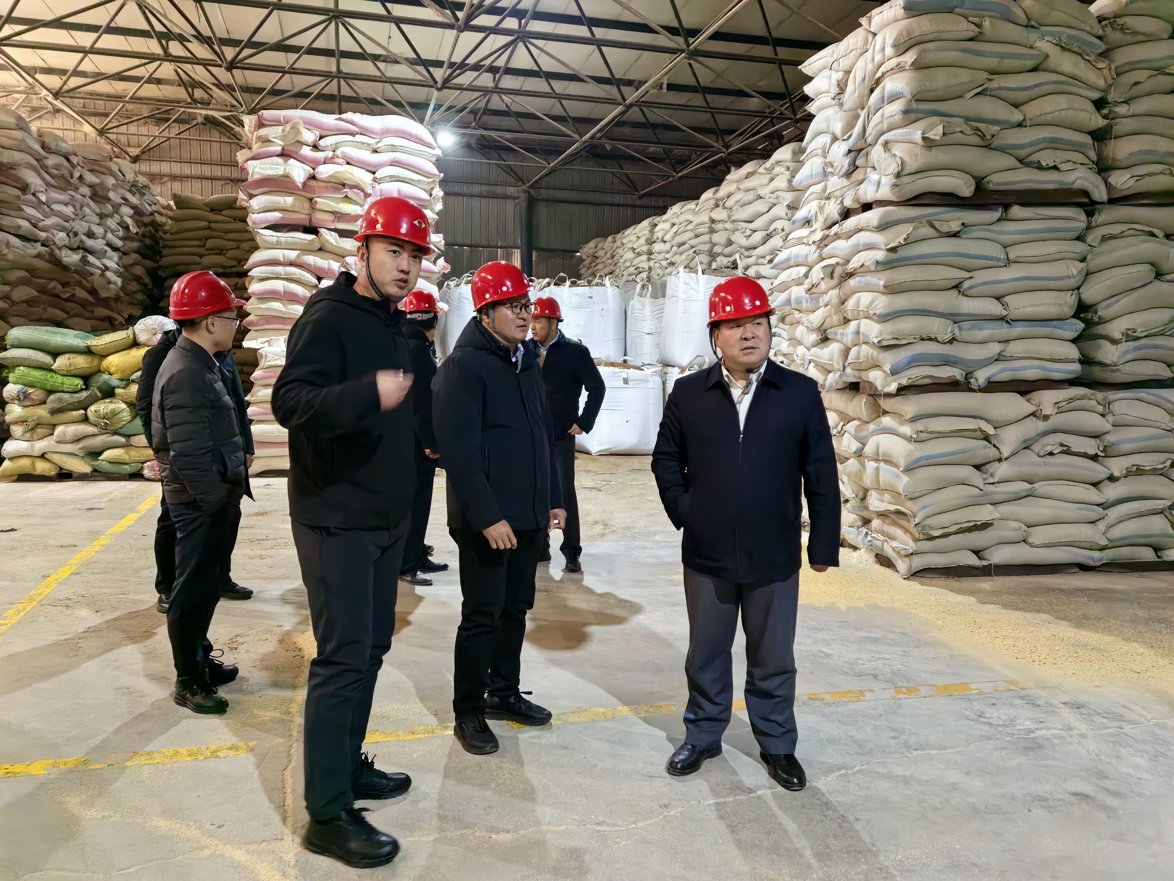 中牧集团董事长杨青春到中新食品汾洛一体化调研指导工作