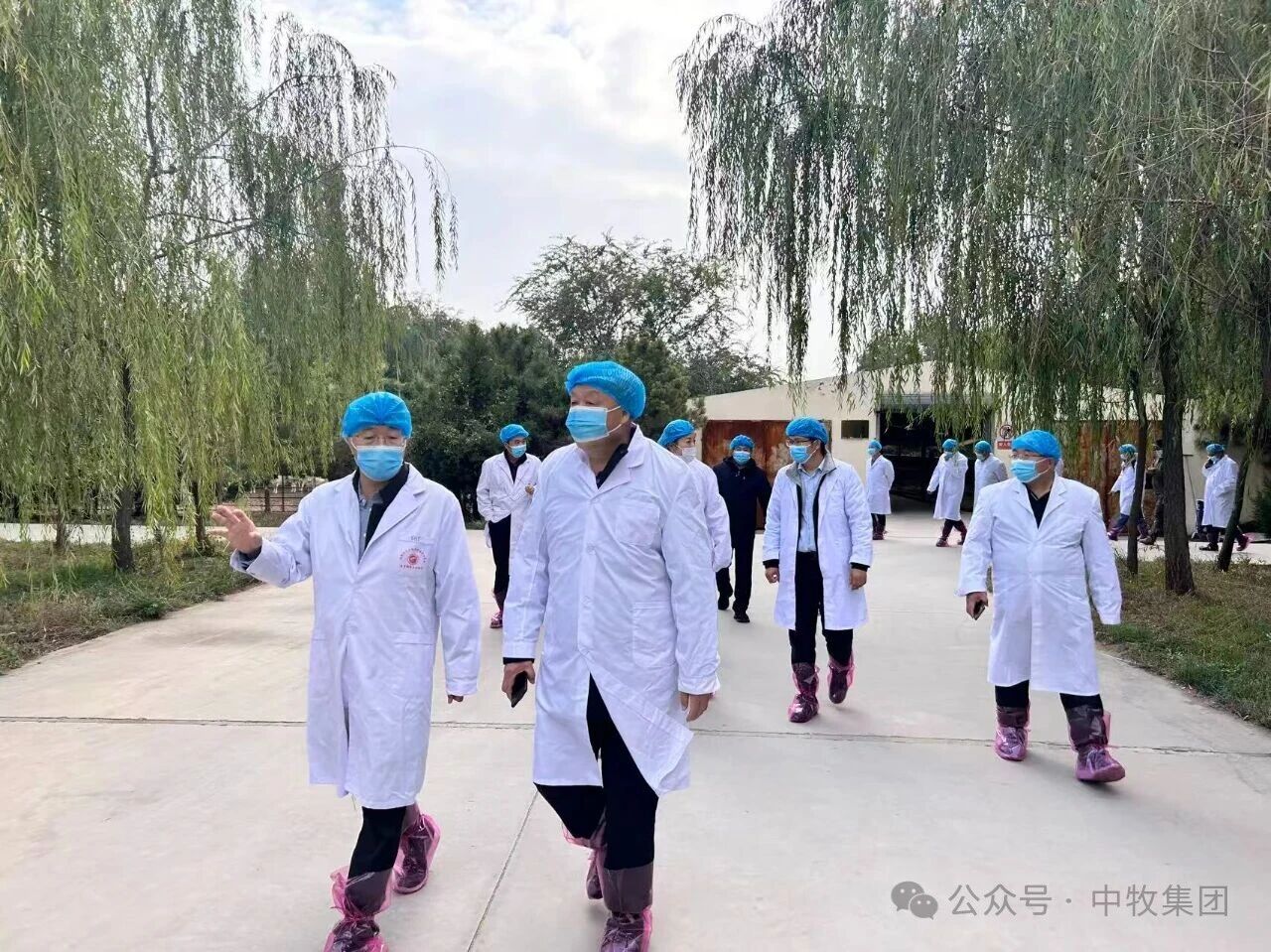 中国工程院院士侯水生一行调研中牧亿林 把脉肉羊种业振兴与科技创新